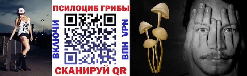 Купить закладки Венёв Псилоцибиновые грибы Psilocybine cubensis